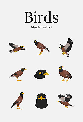 동물 여러마리 일러스트 조류 사람없음 세트 국내일러스트 AI파일 다수 파일형식 벡터
