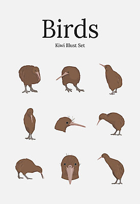 동물 여러마리 일러스트 조류 사람없음 세트 키위새 국내일러스트 AI파일 다수 파일형식 벡터