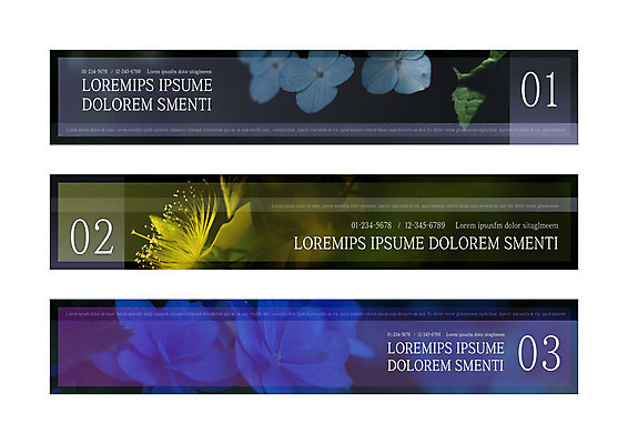 템플릿 배너 배너템플릿 가로배너 꽃잎 꽃 사각프레임 사람없음 그래픽 현수막 배너세트 AI파일 식물 프레임 가로 세트 사각형 파일형식 벡터