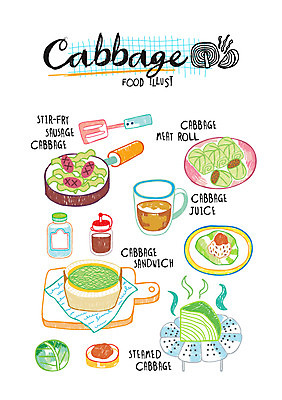 음식 일러스트 샌드위치 사람없음 찜 양배추 죽 소시지양배추말이 양배추말이 국내일러스트 AI파일 채소 소시지요리 파일형식 벡터