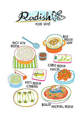 음식 일러스트 밥 사람없음 무 깍두기 고등어조림 무김치 무쌈 무쌈말이 무조림 소고기뭇국 국내일러스트 AI파일 김치 뿌리채소 국 조림 파일형식 벡터