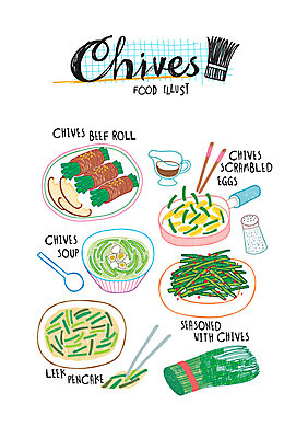 음식 일러스트 사람없음 샐러드 부추 후추 부추전 스크램블 절임 국내일러스트 AI파일 채소 계란요리 향신료 부침개 파일형식 벡터