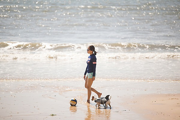 포토 JPG 주간 전신 한마리 여자 파도 바다 한명 사람 20대 성인 해변 야외 옆모습 여름 여름휴가 바캉스 햇빛 반사 걷기 한국인 강아지 배구공 태안 반려 성인여자한명만 딩펫족 펫팸족 국내포토 자연요소 1 라이프스타일 계절 스포츠용품 뷰포인트 공 모션 휴가 동양인 청년 반려동물 태양 개 충청남도 배구 신조어 여자한명만 성인여자만 파일형식 여름_계절