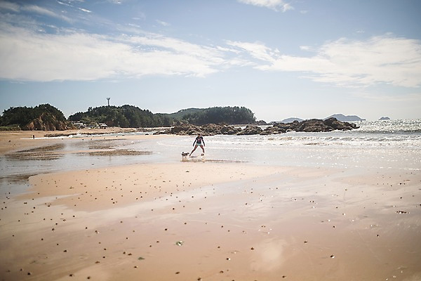 포토 JPG 주간 전신 구름 한마리 여자 바다 하늘 한명 사람 20대 성인 해변 야외 앞모습 여름 여름휴가 바캉스 한국인 바위 강아지 숲 언덕 배구공 태안 반려 성인여자한명만 딩펫족 펫팸족 국내포토 자연요소 1 라이프스타일 계절 스포츠용품 뷰포인트 공 휴가 동양인 청년 반려동물 돌_바위 개 충청남도 배구 신조어 여자한명만 성인여자만 파일형식 여름_계절