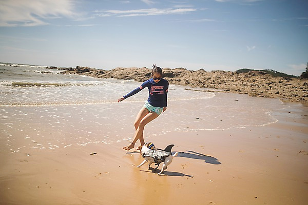 포토 JPG 주간 전신 한마리 여자 바다 한명 사람 20대 성인 해변 야외 앞모습 여름 여름휴가 바캉스 한국인 바위 강아지 배구공 태안 공차기 반려 성인여자한명만 딩펫족 펫팸족 국내포토 자연요소 1 라이프스타일 계절 스포츠용품 뷰포인트 공 모션 휴가 동양인 청년 반려동물 돌_바위 개 충청남도 배구 신조어 여자한명만 성인여자만 파일형식 여름_계절
