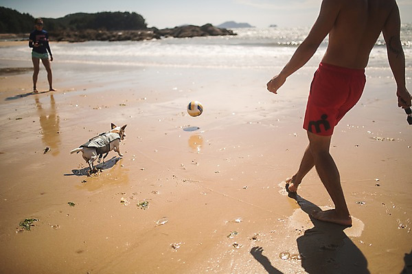 포토 JPG 주간 전신 한마리 커플 여자 남자 바다 사람 20대 해변 야외 두명 앞모습 뒷모습 여름 여름휴가 바캉스 한국인 바위 강아지 배구공 태안 공차기 반려 성인만 딩펫족 펫팸족 국내포토 자연요소 1 라이프스타일 계절 스포츠용품 뷰포인트 공 관계 모션 휴가 동양인 청년 반려동물 돌_바위 개 충청남도 배구 신조어 파일형식 여름_계절