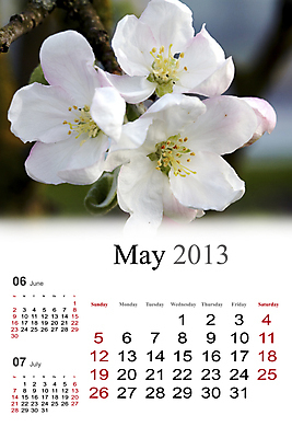 포토 JPG 해외이미지 휴가 설계 새해 사람없음 달력 5월 연도 해외202004 해외포토 컨셉 날짜 파일형식 이미지허브