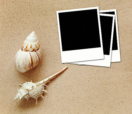 포토 JPG 해외이미지 모래 바다 여행 백그라운드 자연 휴가 조개 불가사리 프레임 사람없음 여름 껍질 수집 질감 과거 해외202004 해외포토 계절 컨셉 어패류 극피동물 생태계 파일형식 이미지허브