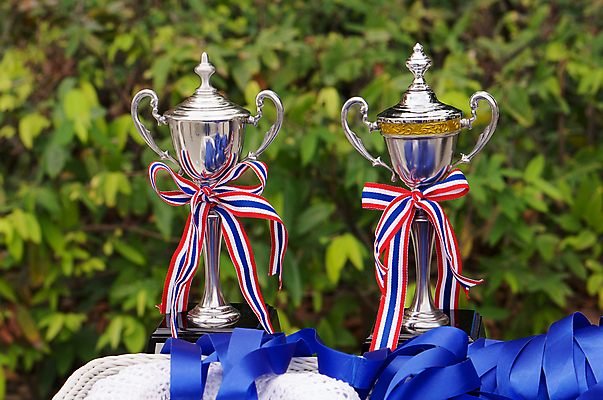 포토 JPG 해외이미지 스포츠 컨셉 성공 경기 사람없음 컵 금속 경쟁 도전 축하 우승 황금 은색 정상 대표 상패 트로피 받침대 오브젝트 리더 청동 대회 명예 성배 승자 토너먼트 필승 해외202004 해외포토 식기 컬러 재질 최고 상_우승 파일형식 이미지허브