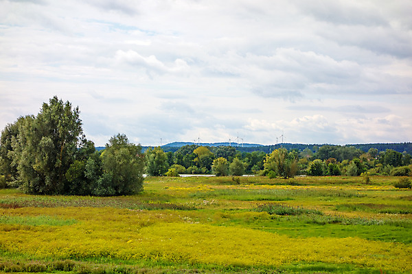 포토 JPG 해외이미지 유럽 호수 섬 여행 자연 조류 지팡이 휴가 독일 갈대 풍경 사람없음 물 관찰 바이에른 해외202004 해외포토 자연요소 식물 동물 나라 모션 생태계 파일형식 이미지허브
