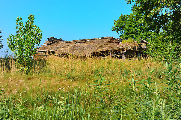 포토 JPG 해외이미지 나무 문화 창문 자연 하늘 지붕 벽돌 주택 사람없음 초록색 여름 사막 나뭇가지 시골 땅 부식 폐허 싱글 시골집 밀짚 진짜 해외202004 해외포토 식물 계절 컬러 건물 짚 생태계 파일형식 이미지허브