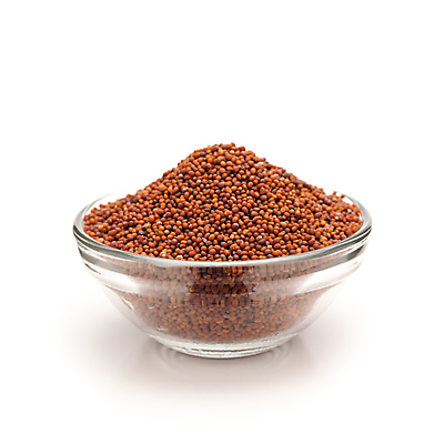 포토 JPG 해외이미지 그릇 사람없음 흰색 낟알 향신료 겨자씨 해외202004 해외포토 식기 컬러 씨앗 향미료 파일형식 이미지허브