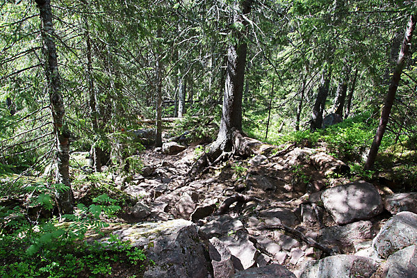 포토 JPG 해외이미지 공원 자연 산 스웨덴 국립공원 풍경 사람없음 여름 바위 황무지 숲 6월 발트해 스칸디나비아 해외202004 해외포토 계절 공공시설 바다 북유럽 돌_바위 날짜 생태계 파일형식 이미지허브