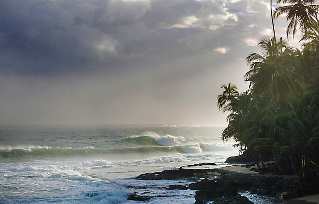 포토 JPG 해외이미지 나무 구름 공원 모래 파도 바다 여행 자연 하늘 휴가 파노라마 손바닥 풍경 사람없음 야외 물 여름 파란색 일출 맑음 미국 침묵 일몰 만 남아메리카 중앙아메리카 태평양 전국 코스타리카 파라다이스 해외202004 해외포토 자연요소 식물 손 계절 공공시설 컬러 북아메리카 날씨 촬영기법 아메리카 노을 소리 생태계 파일형식 이미지허브
