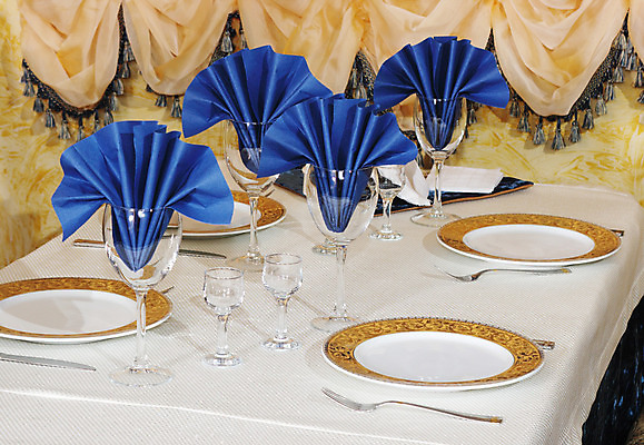 포토 JPG 해외이미지 접시 디자인 음료 음식 포크 와인잔 유리 탁자 호텔 서브 사람없음 내부 장식 파란색 세트 파티 요식업 식당 와인 식사 저녁식사 희망 식탁보 흰색 축하 직물 칼 고급 우아함 은색 배열 먹기 서비스 만족 냅킨 설정 점심식사 뷔페 접수 정중 해외202004 해외포토 식기 감정 산업 컬러 가구 컨셉 술잔 모션 재질 숙소 주류 이벤트 상점 파일형식 이미지허브