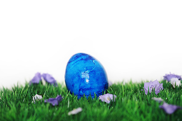 포토 JPG 해외이미지 전통 디자인 계절 꽃 행복 기독교 종교 음식 백그라운드 꽃무늬 패턴 자연 휴가 부활절 창조 선물 사람없음 장식 초록색 파란색 컬러풀 계란 페인트 놀람 봄 흰색 축하 토끼 둥지 4월 수집 심볼 고립 해외202004 해외포토 식물 기념일 감정 컬러 컨셉 무늬 포유류 표정 반려동물 알 날짜 생태계 파일형식 이미지허브