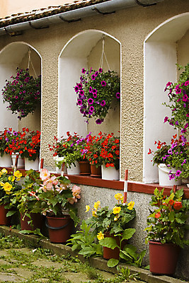 포토 JPG 해외이미지 식물 디자인 꽃 벽 꽃다발 백그라운드 자연 주택 사람없음 야외 장식 빨간색 초록색 파란색 노란색 정원 벚꽃 바위 흰색 시골 화단 해외202004 해외포토 컬러 건물 돌_바위 생태계 파일형식 이미지허브