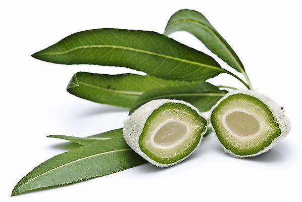 포토 JPG 해외이미지 나무 산업 길 음식 백그라운드 잎 농업 과일 재료 자연 건강 요리 씨앗 사람없음 초록색 우주 봄 화장품 우유 견과류 수확 가을 흰색 나뭇가지 마사지 자르기 수집 그림 유기농 질감 날것 아몬드 내추럴 고립 억울 해외202004 해외포토 식물 웰빙 계절 감정 컬러 모션 유제품 뷰티 생태계 파일형식 이미지허브