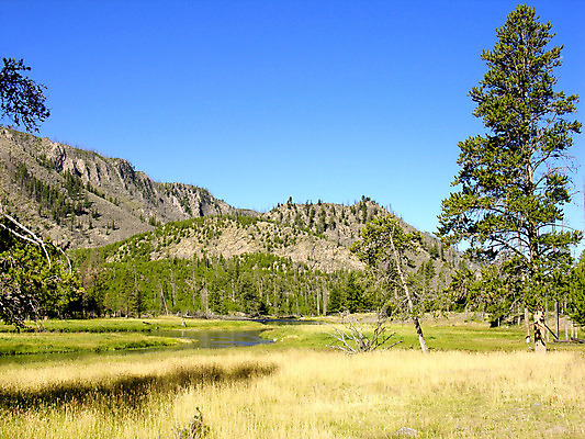 포토 JPG 해외이미지 나무 동물 구름 공원 여행 백그라운드 겨울 신체 곰 모션 자연 놀이 하늘 휴가 산 풍경 사람없음 야외 초록색 물 여름 강 갈색 머리 걷기 검은색 미국 힘 봄 폭포 젖음 가을 바위 숲 큼 속도 북쪽 전국 해외202004 해외포토 자연요소 식물 계절 공공시설 컬러 북아메리카 포유류 신체부위 돌_바위 크기 방향 생태계 파일형식 이미지허브