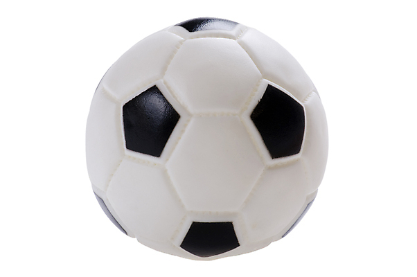 포토 JPG 해외이미지 공 사람없음 반려동물 컬러풀 장난감 흰색 개 강아지 플라스틱 오브젝트 송곳니 고립 해외202004 해외포토 동물 컬러 포유류 재질 치아 파일형식 이미지허브