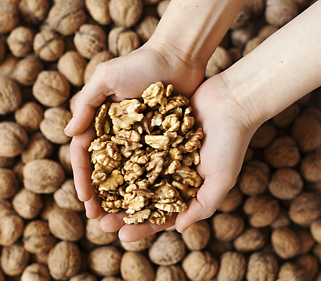 포토 JPG 해외이미지 식물 손 영어 음식 백그라운드 패턴 농업 과일 자연 표면 추상 건조 건강 씨앗 사람 사람없음 농작물 갈색 쌓기 견과류 수확 껍질 가을 하트 잡기 유기농 질감 알맹이 호두 팔 흙더미 내추럴 식용 채식주의자 많음 개조 비건 해외202004 해외포토 모양 문자 웰빙 계절 산업 컬러 컨셉 무늬 모션 신체부위 흙 생태계 채식 파일형식 더미 이미지허브