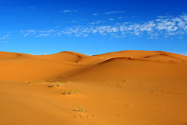 포토 JPG 해외이미지 모래 여행 자연 건조 풍경 사람없음 야외 여름 사막 황무지 땅 모래언덕 가뭄 해외202004 해외포토 계절 날씨 언덕 생태계 파일형식 이미지허브