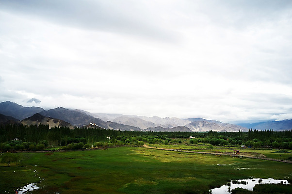 포토 JPG 해외이미지 종교 자연 풍경 사람없음 야외 내추럴 해외202004 해외포토 생태계 파일형식 이미지허브