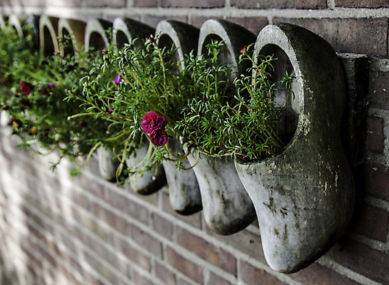 포토 JPG 해외이미지 전통 옷 유럽 문화 조각 여행 백그라운드 신발 작업복 선물 사람없음 야외 목재 장식 빨간색 노란색 유행 수확 흰색 쌍 역사 심볼 오브젝트 네덜란드 기념품 지역 암스테르담 고립 구식 미루나무 밭일 옛날 줄서기 해외202004 해외포토 나무 나라 컬러 농업 재료 모션 파일형식 이미지허브