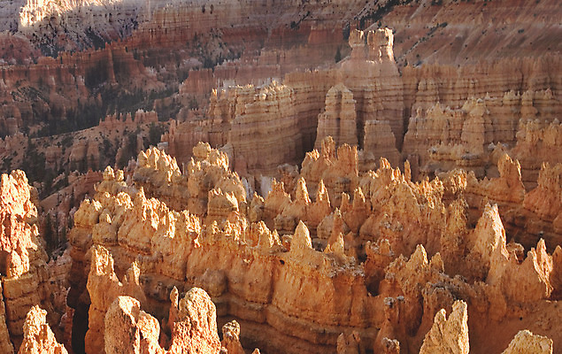 포토 JPG 해외이미지 나무 분홍색 오렌지 하늘 산 국립공원 사람없음 해외202004 해외포토 식물 공원 컬러 과일 파일형식 이미지허브