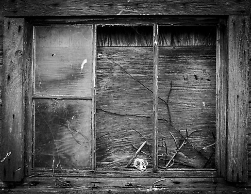 포토 JPG 해외이미지 동물 외관 벽 백그라운드 밭 농업 건축양식 자연 하늘 뼈 주택 풍경 사람없음 야외 내부 건물 목재 여름 빛 농가 농장 문 목장 방 수확 골동품 시골 죽음 치아 땅 버리기 복고 캘리포니아 헛간 외양간 그런지 깨짐 밭일 썩음 옛날 판잣집 해골모형 해외202004 해외포토 나무 건축물 계절 건축 산업 컨셉 재료 모션 모형 미국 소화기관 생태계 저장고 파일형식 이미지허브