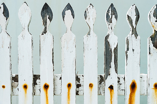 포토 JPG 해외이미지 디자인 외관 벽 백그라운드 패턴 자연 사람없음 목재 울타리 갈색 수확 흰색 판넬 거친 보호 널 질감 복고 사생활 수목 옛날 해외202004 해외포토 나무 컬러 컨셉 무늬 농업 재료 담장 생태계 파일형식 이미지허브