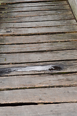 포토 JPG 해외이미지 공원 도로 길 바다 섬 여행 백그라운드 자연 하늘 휴가 풍경 사람없음 야외 목재 초록색 물 여름 빛 태양 평화 항구 침묵 산책 산책로 하이킹 시골 숲 오솔길 장면 내추럴 건너기 방법 옛날 해외202004 해외포토 자연요소 나무 계절 공공시설 컬러 컨셉 재료 교통시설 모션 레저 휴식 소리 생태계 파일형식 이미지허브