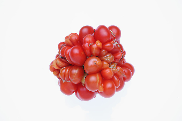 포토 JPG 해외이미지 음식 토마토 채소 과일 종류 사람없음 빨간색 채식주의자 해외202004 해외포토 컬러 채식 파일형식 이미지허브