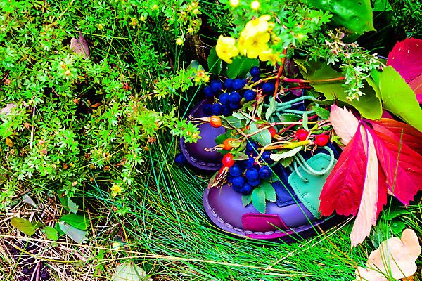 포토 JPG 해외이미지 식물 옷 공원 열매 꽃 어린이 음식 분홍색 신발 잎 크리스마스 2 벤치 과일 자연 포도 새로움 부츠 건강 사람없음 목재 장식 빨간색 초록색 장미 갈색 유행 산책 가을 흰색 아기 신선 쌍 샌들 가죽 다발 오브젝트 고무 내추럴 고립 숙성 양발 총각무 스타일 해외202004 해외포토 나무 계절 공공시설 기념일 컬러 컨셉 의자 재료 휴식 사람 무 생태계 파일형식 이미지허브