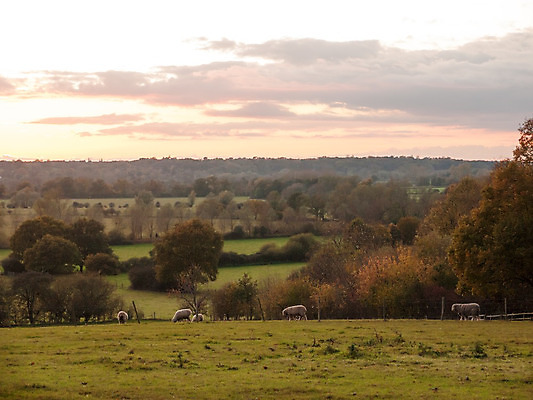 포토 JPG 해외이미지 나무 식물 구름 계절 공원 실루엣 여행 백그라운드 밭 농업 오렌지 자연 하늘 아침 휴가 산 풍경 사람없음 야외 목재 빨간색 초록색 여름 빛 햇빛 태양 노란색 일출 환경 황혼 일몰 가을 시골 저녁 숲 장면 설정 내추럴 수평선 해외202004 해외포토 주간 자연요소 공공시설 산업 컬러 과일 재료 촬영기법 노을 야간 생태계 파일형식 이미지허브