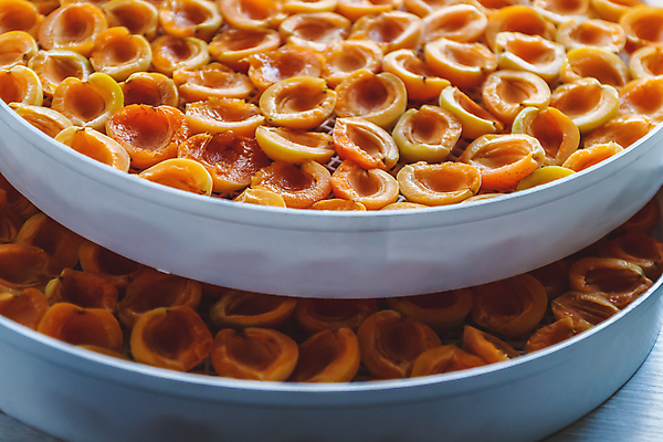 포토 JPG 해외이미지 스튜디오촬영 실내 사람없음 건과일 건조기 살구 해외202004 해외포토 과일 건조 내부 기계 파일형식 이미지허브