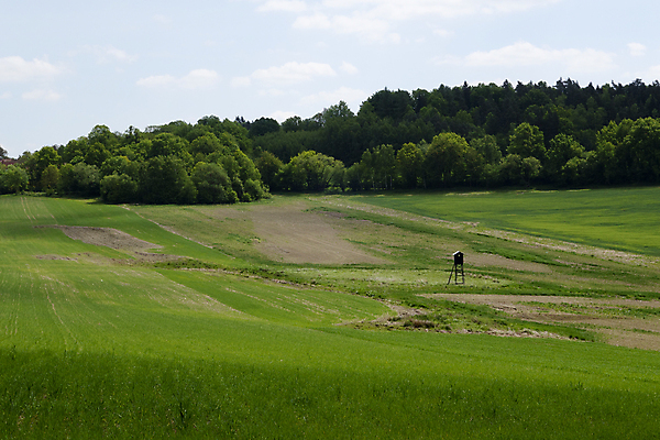 포토 JPG 해외이미지 나무 식물 구름 외관 유럽 도로 밭 농업 자연 하늘 풍경 사람없음 야외 목재 초록색 환경 와인 봄 성장 시골 숲 언덕 지역 체코 내추럴 공화국 보헤미아 생태학 수평선 모라비아 해외202004 해외포토 자연요소 계절 교육 나라 산업 길 컬러 재료 교통시설 주류 생태계 파일형식 이미지허브