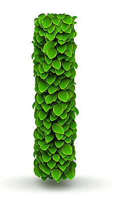 포토 JPG 해외이미지 나무 식물 디자인 알파벳 컨셉 잎 일러스트 자연 건강 사람없음 초록색 3D 환경 성장 신선 절약 보호 숲 편지 수집 허브 생태계 질감 소문자 타입 내추럴 생태학 레터링 해외202004 해외일러스트 영어 교육 컬러 디지털합성 파일형식 이미지허브