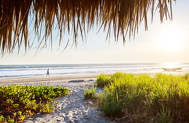 포토 JPG 해외이미지 나무 실루엣 모래 파도 바다 섬 여행 백그라운드 자연 휴가 휴식 열대 손바닥 풍경 사람없음 야외 물 여름 모래사장 여행객 일몰 놀람 수확 휴양지 장면 감탄 블러 이국적 특별함 파라다이스 환상 카피스페이스 해외202004 해외포토 자연요소 식물 손 계절 감정 컨셉 농업 촬영기법 표정 사람 노을 공백 장소 생태계 파일형식 이미지허브