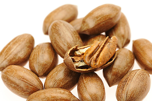 포토 JPG 해외이미지 나무 식물 음식 백그라운드 과일 재료 부분 자연 건조 기술 건강 씨앗 사람없음 목재 갈색 노란색 식사 힘 펼침 견과류 가을 흰색 오픈 원형 자르기 먹기 가득함 오브젝트 날것 개암나무 고립 꼬투리 단절 엘리먼트 여의주 피칸 해외202004 해외포토 도형 계절 컬러 모션 생태계 파일형식 이미지허브