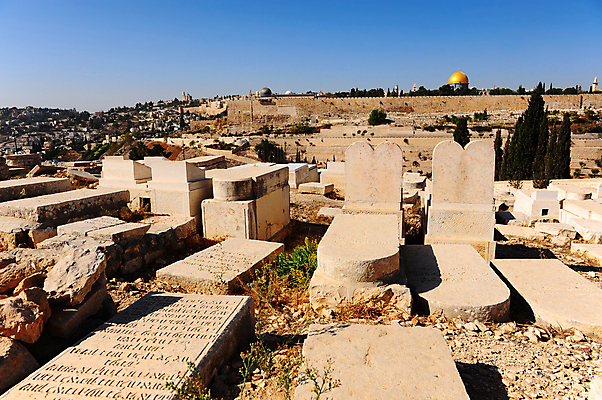 포토 JPG 해외이미지 나무 기독교 종교 문화 벽 여행 십자가 건축양식 하늘 지붕 벽돌 산 사람없음 건물 파란색 교회 탑 계곡 성경 도시 사찰 황금 위험 이슬람교 묘사 올리브 모스크 타운 장례 신앙심 예루살렘 옛날 유태교 이스라엘 장례식 팔레스타인 해외202004 해외포토 식물 건축물 열매 건축 컬러 컨셉 중동 종교용품 종교건축 서아시아 파일형식 이미지허브