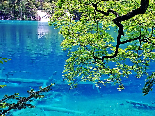 포토 JPG 해외이미지 나무 아시아 여행 사람없음 물 파란색 중국 침묵 해외202004 해외포토 자연요소 식물 나라 컬러 소리 파일형식 이미지허브