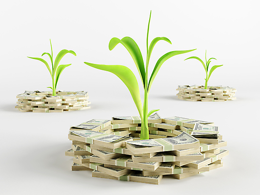 포토 JPG 해외이미지 식물 종이 컨셉 잎 돈 비즈니스 새로움 아이디어 사람없음 초록색 새싹 달러 성장 흰색 나뭇가지 그룹 재산 오브젝트 팩 흙더미 고립 해외202004 해외포토 나무 컬러 금융 흙 화장품 파일형식 더미 이미지허브