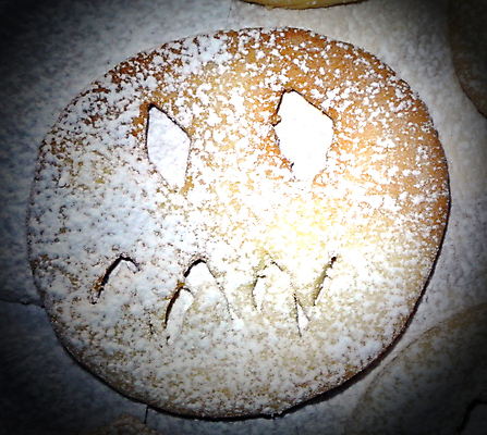 포토 JPG 해외이미지 나무 전통 접시 계절 별 음식 백그라운드 크리스마스 과일 휴가 디저트 사람없음 장식 가로 파란색 갈색 노란색 쌓기 쿠키 초콜릿 침묵 견과류 흰색 직물 닫기 달콤 맛 상품 혼합 굽기 향신료 아로마 땅콩 캔버스 향 젤리 섞기 해로움 해외202004 해외포토 자연요소 식물 식기 기념일 컬러 컨셉 모션 소리 구이 향미료 파일형식 이미지허브