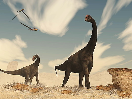 JPG 해외이미지 구름 모래 여러마리 사람없음 그래픽 3D 사막 익룡 초식공룡 해외202004 해외포토 포토 자연요소 다수 디지털합성 공룡 파일형식 이미지허브