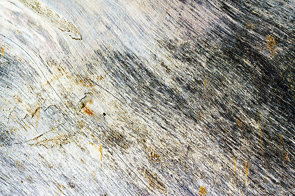 포토 JPG 해외이미지 나무 벽 백그라운드 패턴 표면 날씨 바닥 형상 사람없음 목재 가로 갈색 어둠 줄무늬 펼침 회색 골동품 얼룩 구멍 거친 균열 널 낟알 질감 복고 내추럴 골절 수목 엘리먼트 옛날 줄서기 해외202004 해외포토 식물 컬러 무늬 재료 의학 모션 파일형식 이미지허브