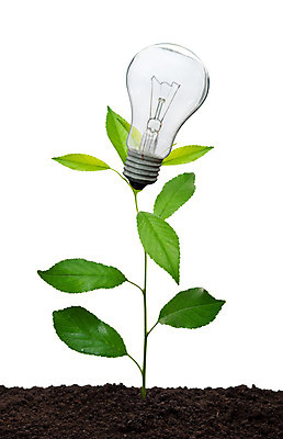 포토 JPG 해외이미지 모양 식물 컨셉 꽃무늬 비즈니스 전구 자연 유리 성공 사람없음 초록색 빛 힘 흙 봄 에너지 벚꽃 흰색 램프 신선 심볼 순수 에코 내추럴 광 생태학 해외202004 해외포토 계절 교육 꽃 컬러 무늬 재질 조명 환경 생태계 파일형식 이미지허브