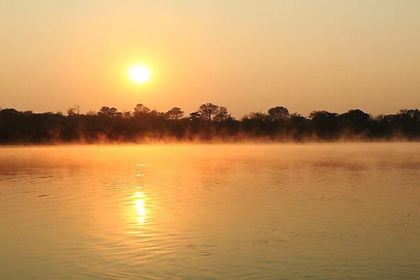 포토 JPG 해외이미지 나무 공원 실루엣 여행 백그라운드 오렌지 아프리카 자연 벽지 하늘 아침 풍경 사람없음 빨간색 물 빛 강 태양 반사 평화 일출 침묵 새벽 행성 안개 황무지 황금 보호 습지 숲 사파리 내추럴 광 나미비아 보츠와나 생태학 해외202004 해외포토 주간 자연요소 식물 공공시설 교육 나라 컬러 컨셉 과일 날씨 촬영기법 우주 노을 소리 생태계 남아프리카 파일형식 이미지허브