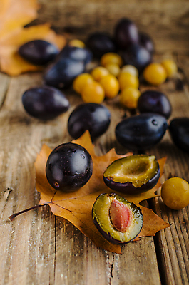 포토 JPG 해외이미지 단풍 낙엽 단면 실내 사람없음 아웃포커스 슬라이스 서양자두 나무배경 해외202004 해외포토 백그라운드 잎 촬영기법 내부 파일형식 이미지허브