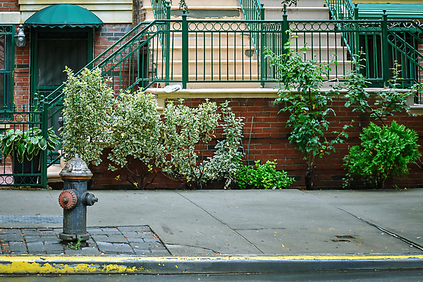 포토 JPG 해외이미지 식물 전통 외관 도로 벽 여행 백그라운드 건축양식 벽지 불 벽돌 거리 안전 사람없음 야외 건물 빨간색 초록색 울타리 도시풍경 햇빛 노란색 문 계단 금속 미국 장비 긴급 도시 플러그 전기에너지 오솔길 뉴욕 호스 맨해튼 이웃 단계 소화전 해외202004 해외포토 자연요소 건축물 건축 길 컬러 북아메리카 교통시설 재질 풍경 담장 태양 에너지 안전장비 파일형식 이미지허브